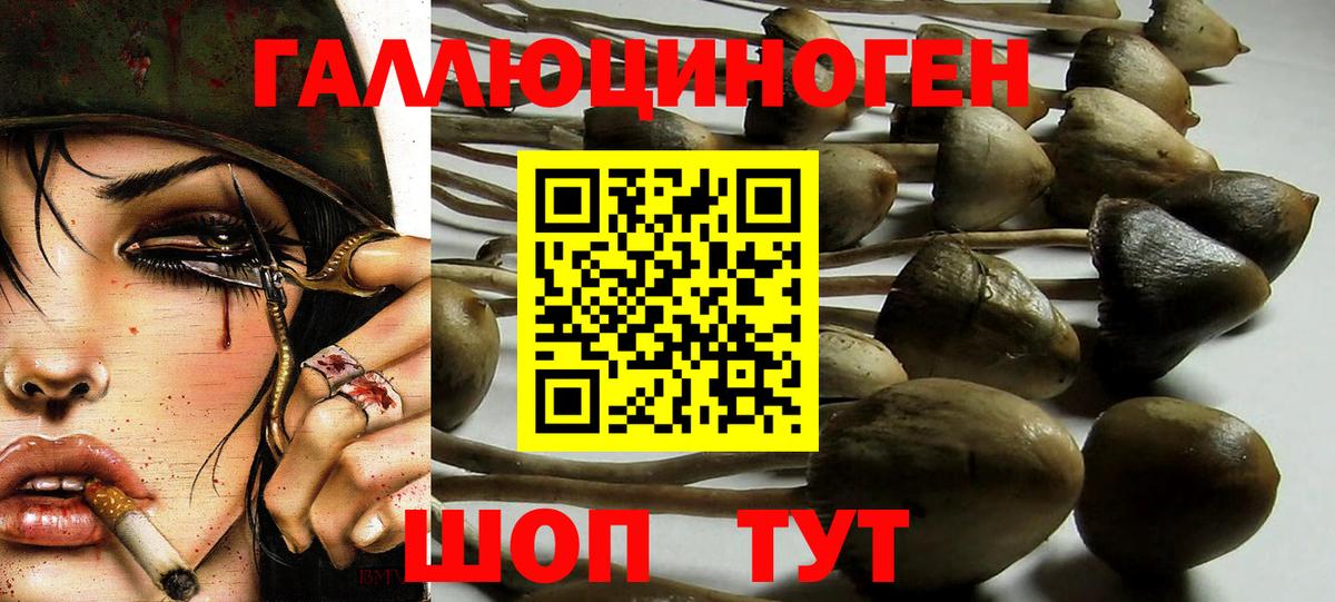 дарнет шоп  Вход с VPN  Звенигород  Галлюциногенные грибы MAGIC MUSHROOMS 